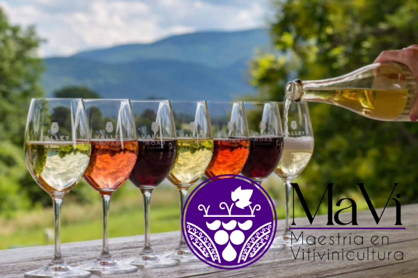 Maestría en Vitivinicultura